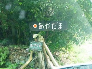 P1280041.jpg